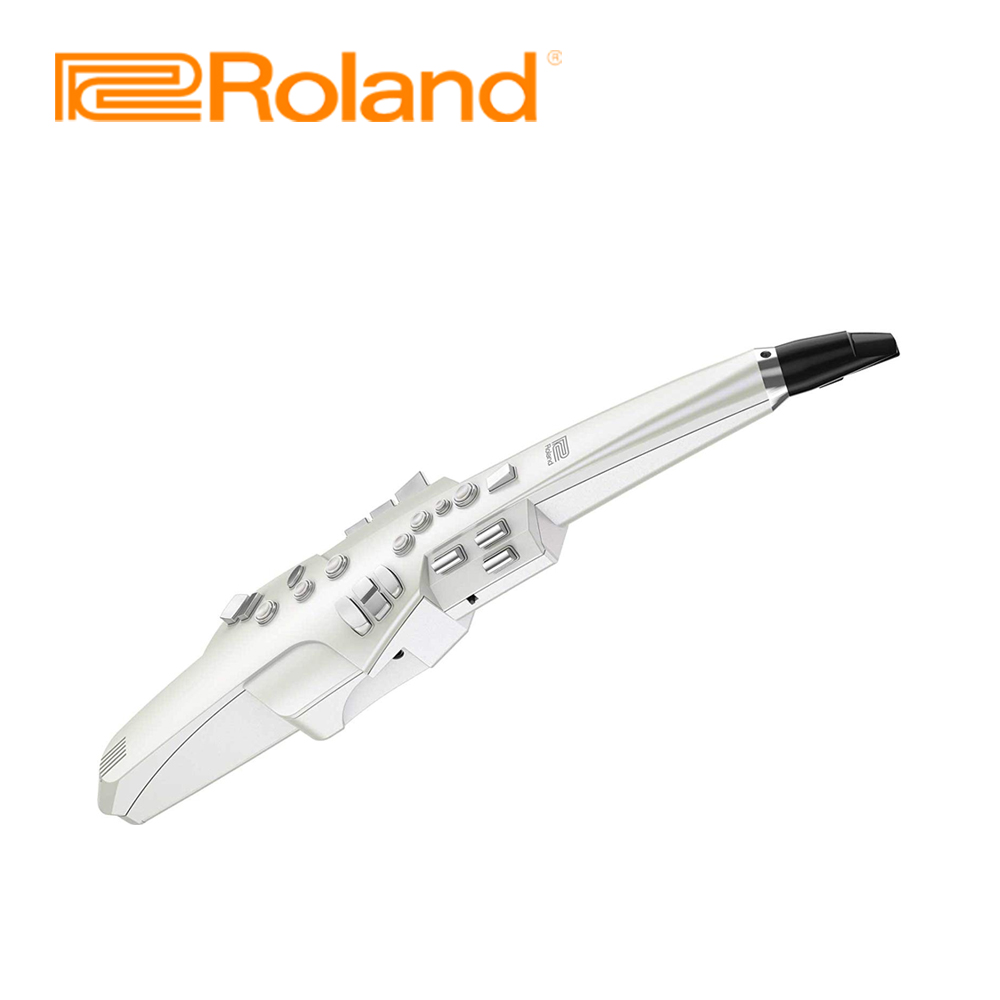 [ROLAND] ѷ  AE-10 Aerophone /  ,  