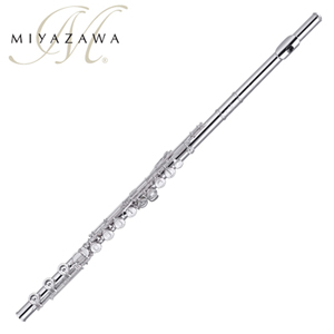 [MIYAZAWA] ̾ڿ ÷ MJ-100E