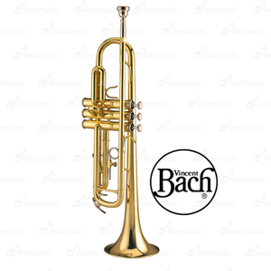 [BACH]바하-스튜던트 모델 Bb 트럼펫 TR600G