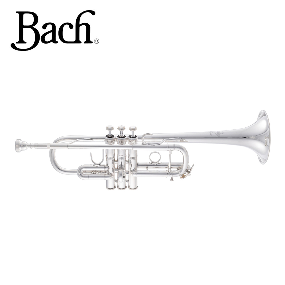 [BACH] ���� Ʈ���� / STRADIVARIUS ��Ʈ��ٸ��콺 Bb / C190SL229